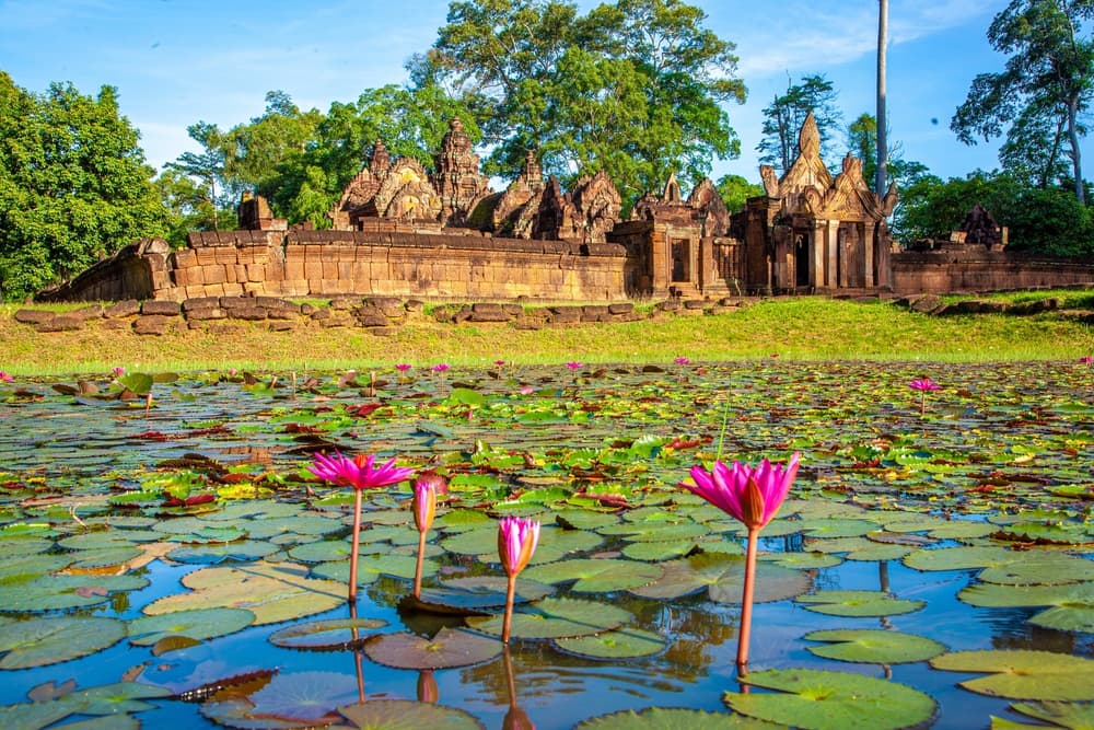 Картинка круиза