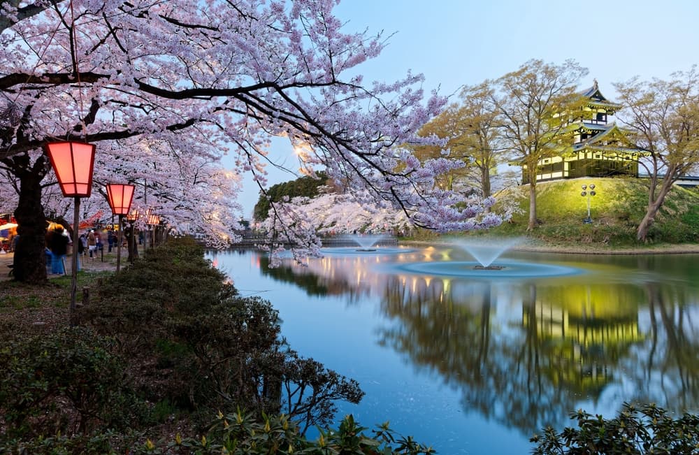 Картинка круиза