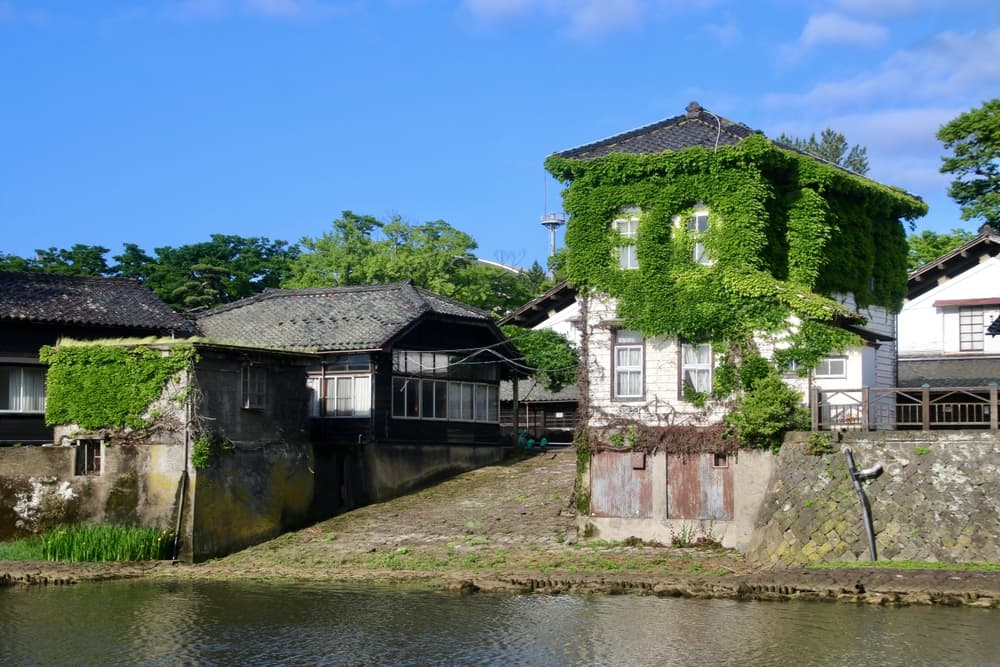 Картинка круиза