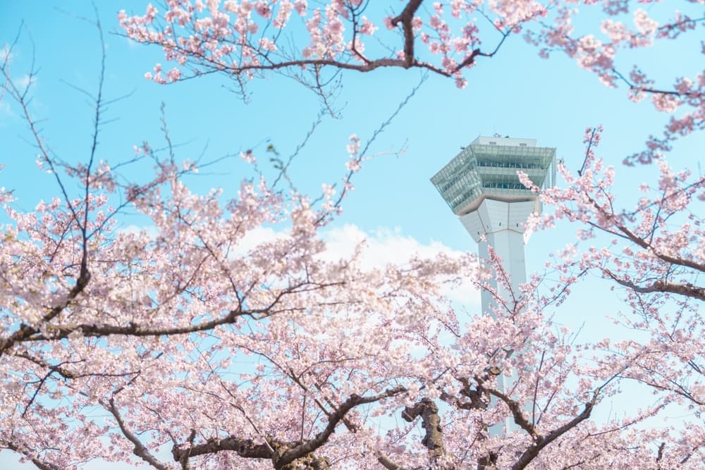 Картинка круиза