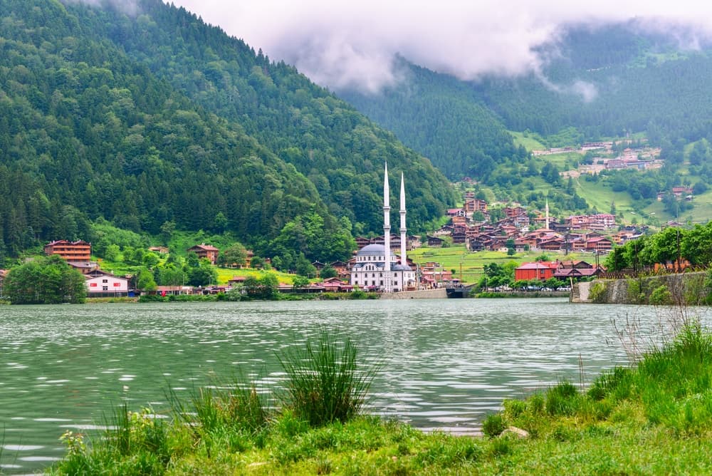 Картинка круиза