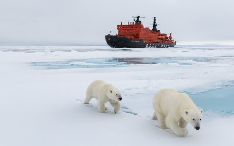 Картинка блога