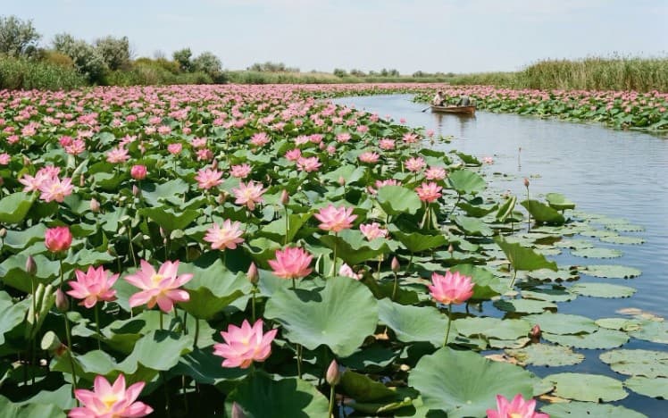 Картинка блога