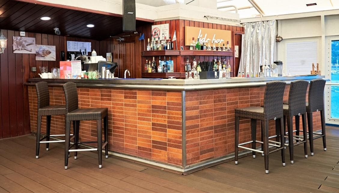  Теплохода Князь Владимир