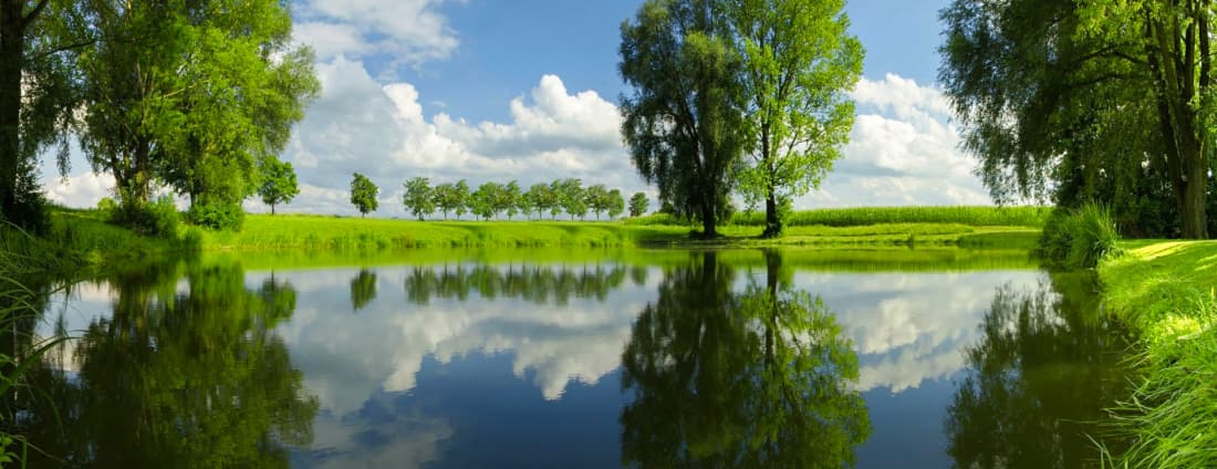 Картинка подборки