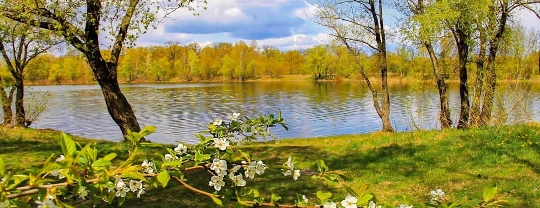 Картинка подборки