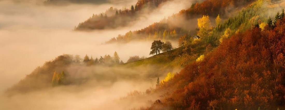 Картинка подборки