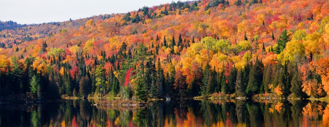 Картинка подборки