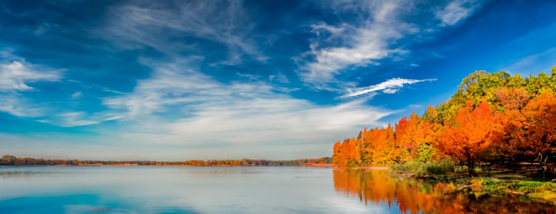 Картинка подборки