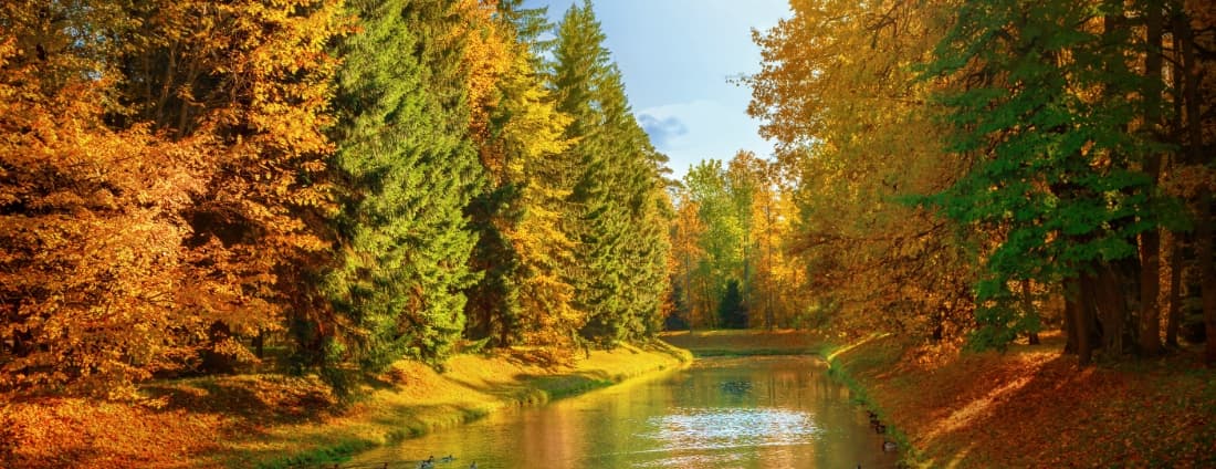 Картинка подборки