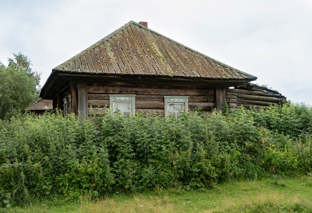 Картинка круиза