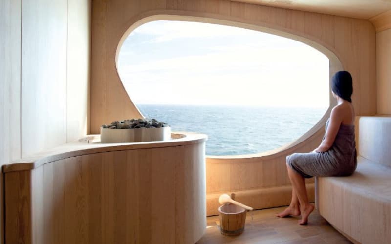  Лайнера Le Dumont D'Urville