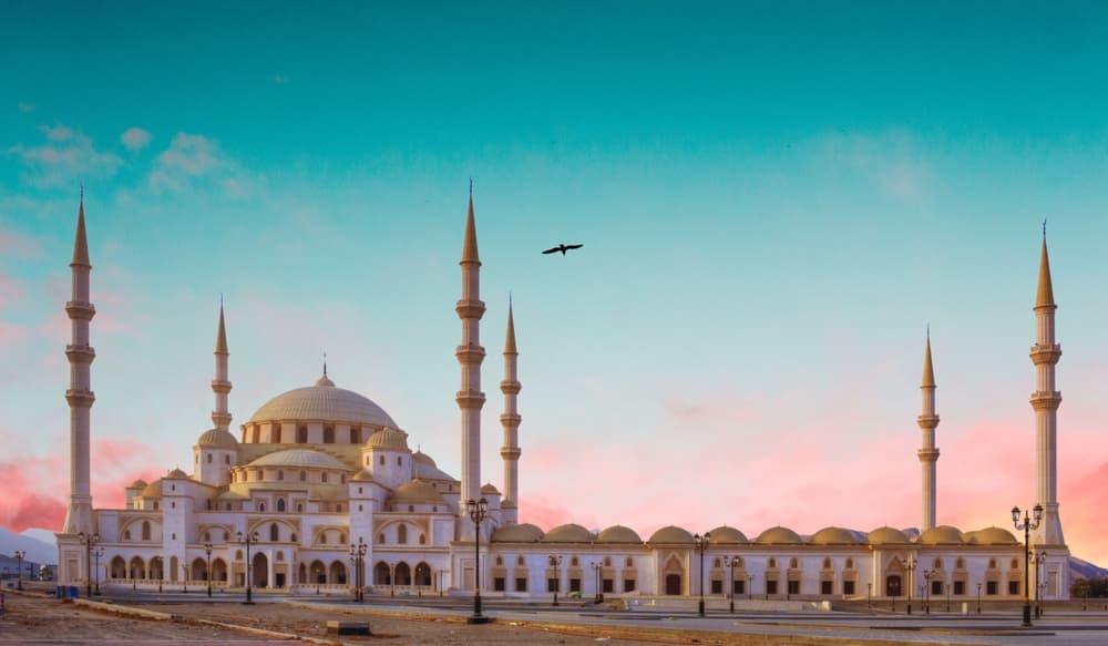 Картинка круиза