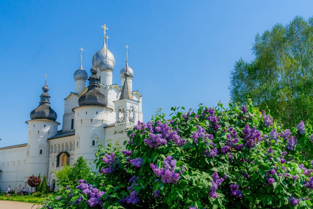 Картинка круиза