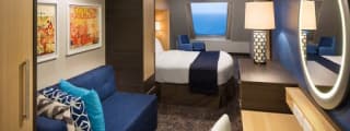 С окном Ocean View Stateroom (1N)
